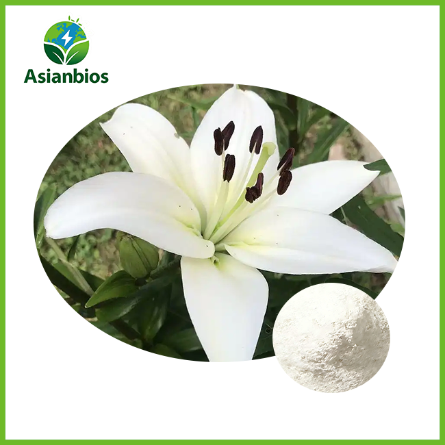 Lily Flower Extract Powder